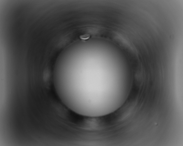 X0000092240079200709211051