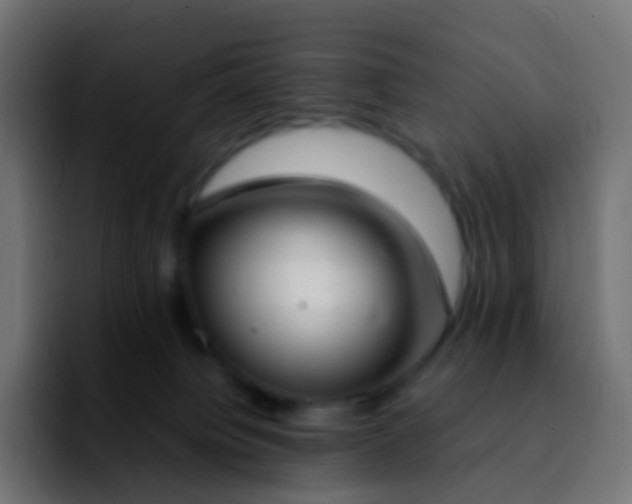 X0000092240084200709211051