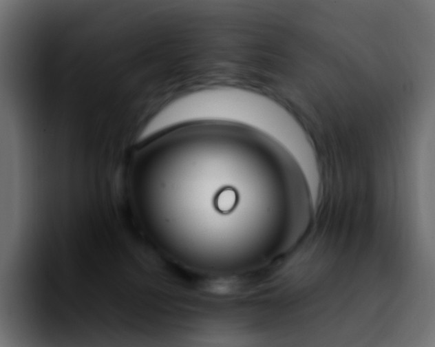 X0000092240088200709211051