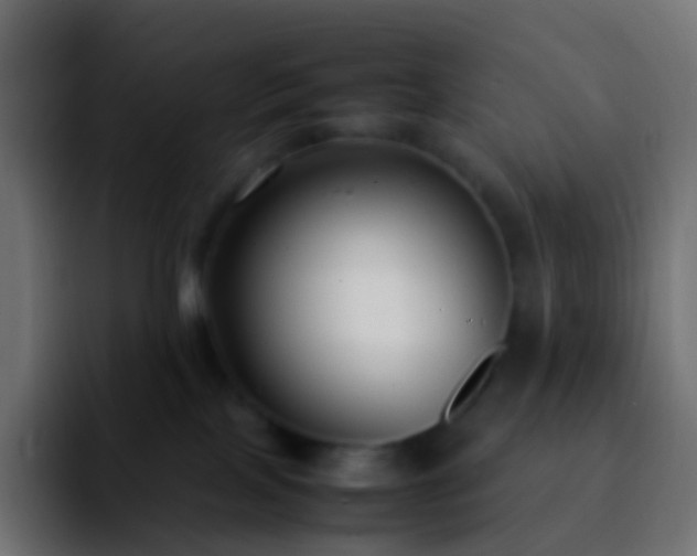 X0000092240089200709211051