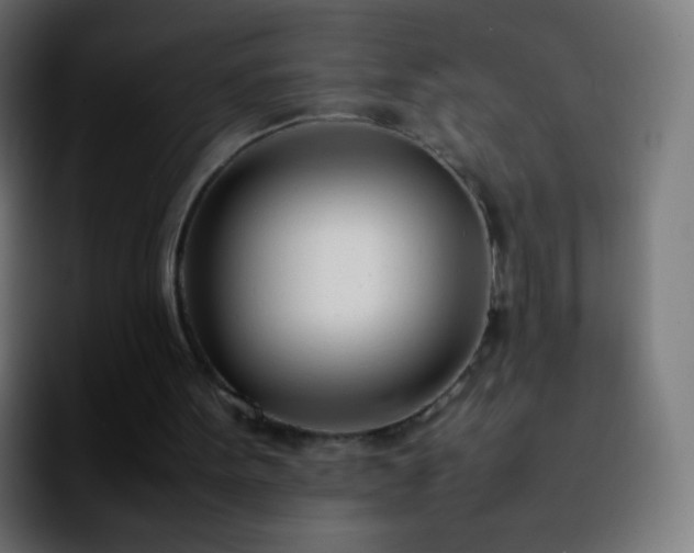 X0000092240099200709211050