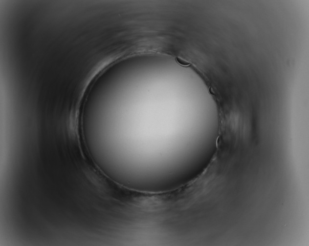 X0000092240100200709211050