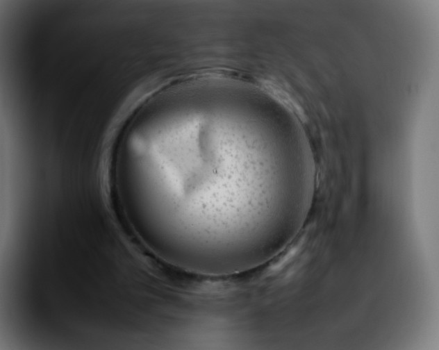 X0000092240101200709211050