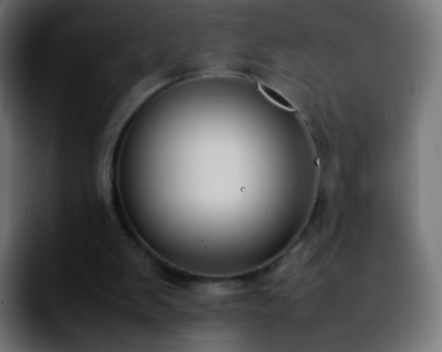 X0000092240103200709211050