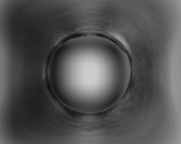 X0000092240105200709211050