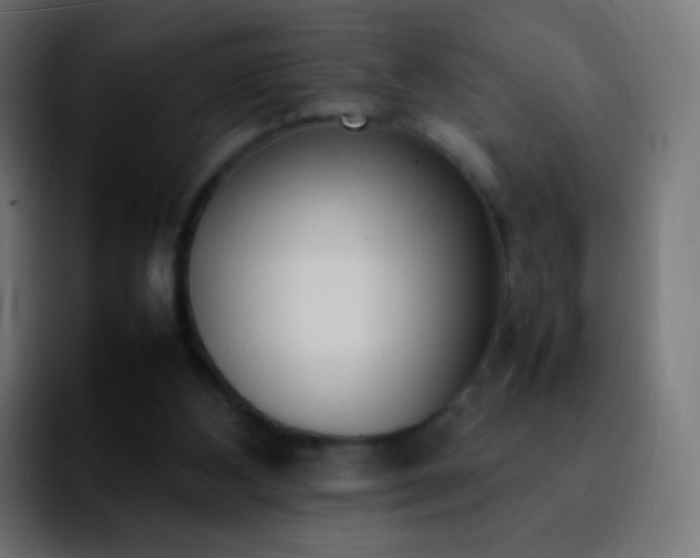 X0000092240108200709211050