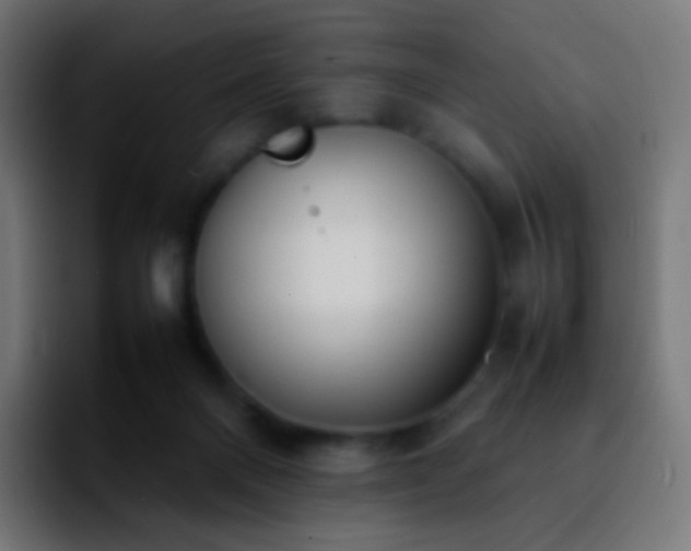 X0000092240120200709211050