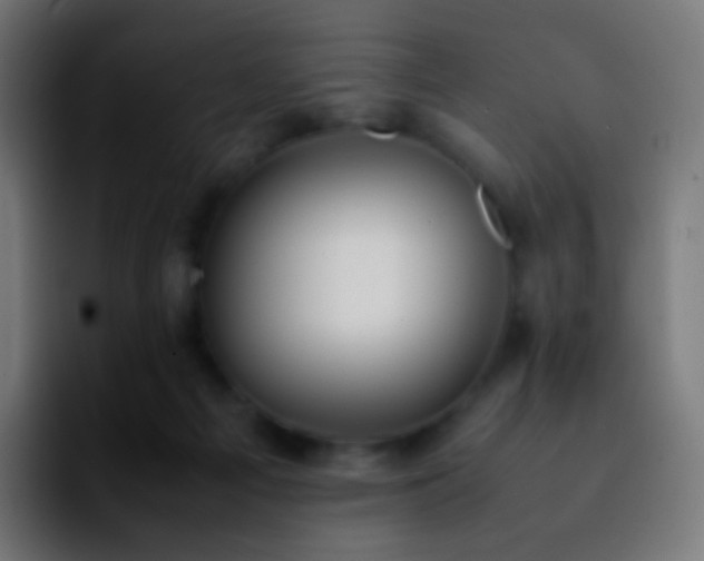 X0000092240121200709211050