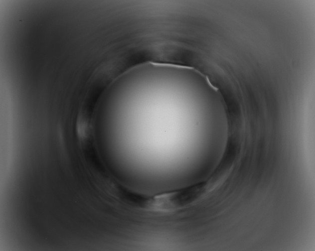 X0000092240137200709211050