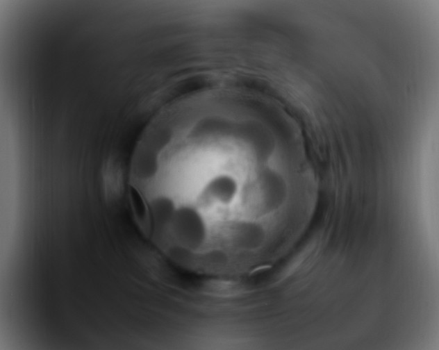 X0000092240139200709211050