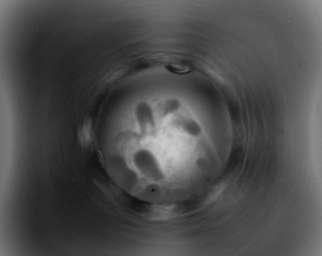 X0000092240143200709211050
