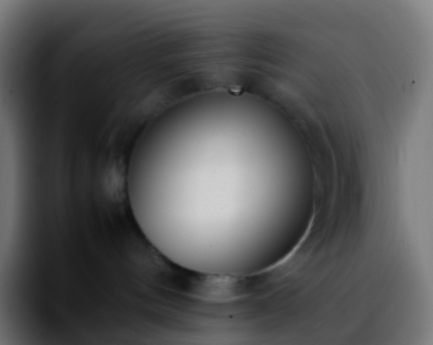 X0000092240144200709211050