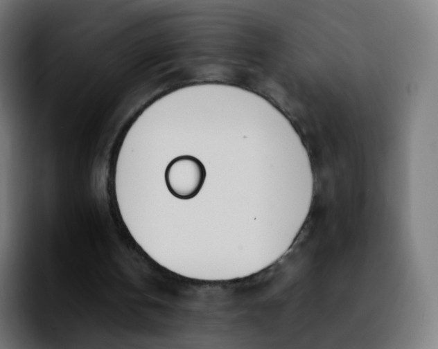 X0000092240146200709211049