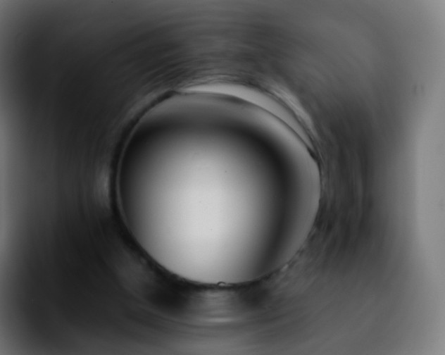 X0000092240154200709211050