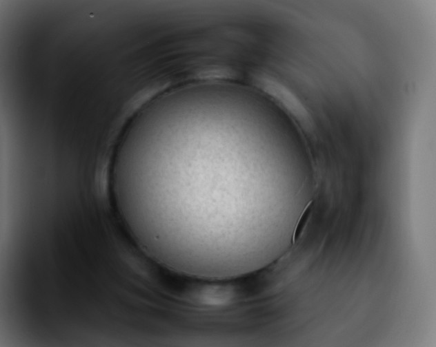 X0000092240155200709211050
