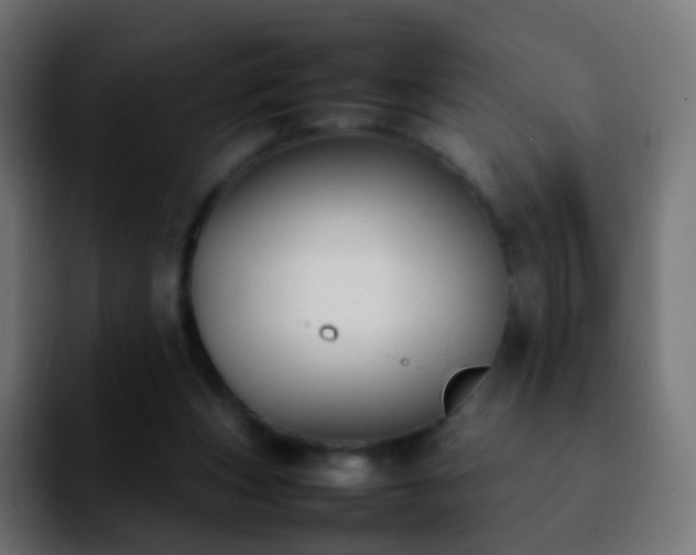 X0000092240159200709211050