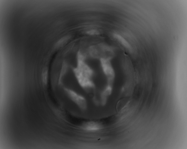 X0000092240163200709211050