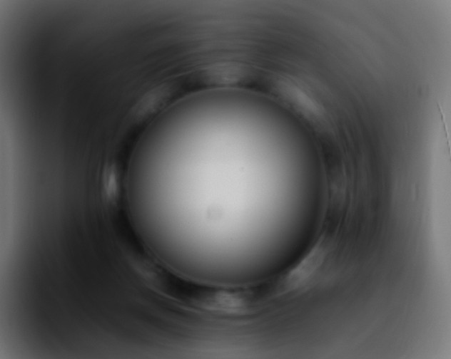 X0000092240166200709211050