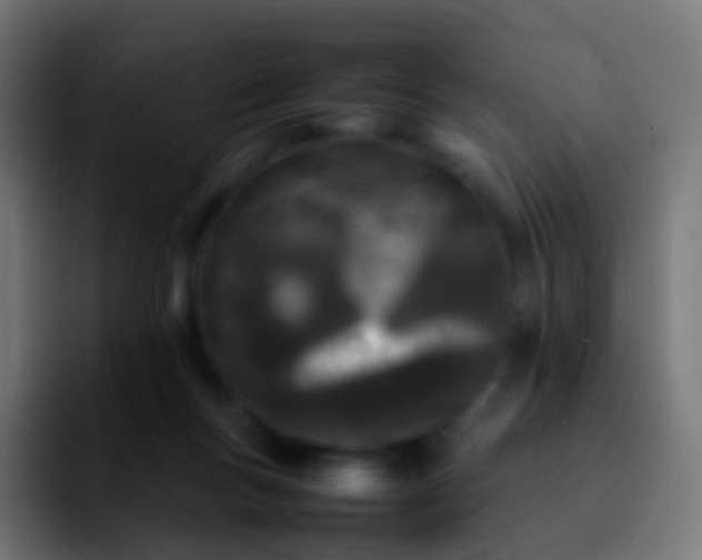 X0000092240167200709211050