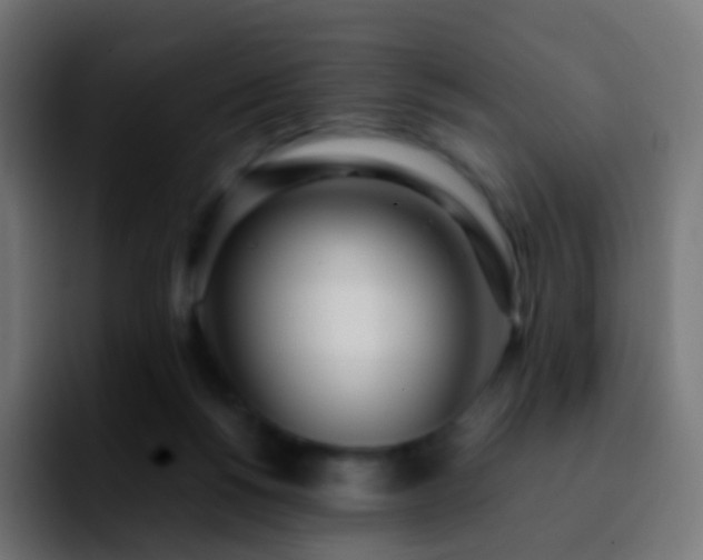 X0000092240168200709211050