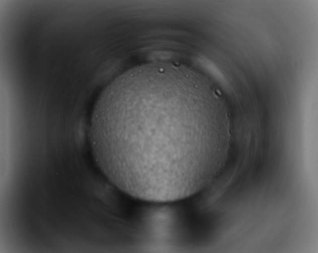 X0000092240169200709211050