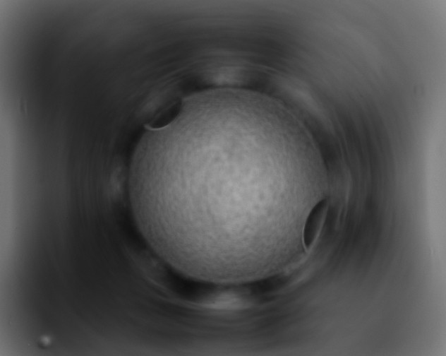 X0000092240175200709211050