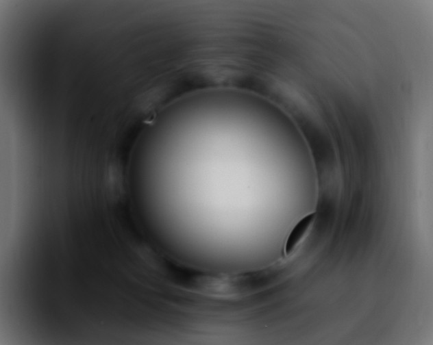 X0000092240182200709211050