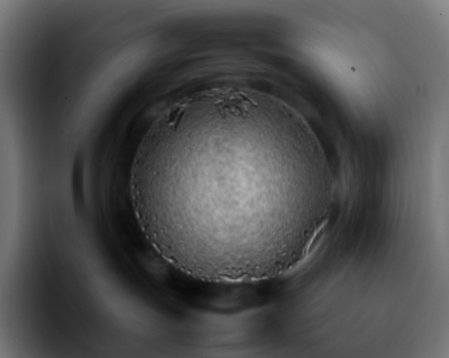 X0000092240191200709211050