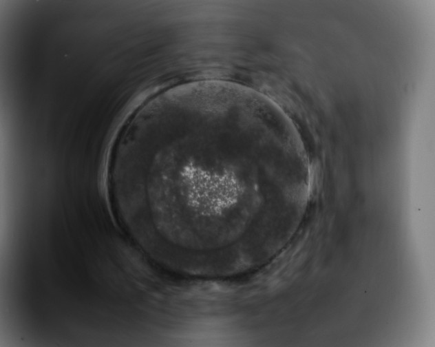 X0000092240195200709211049