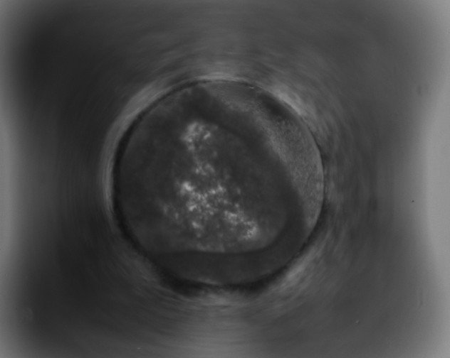 X0000092240199200709211049