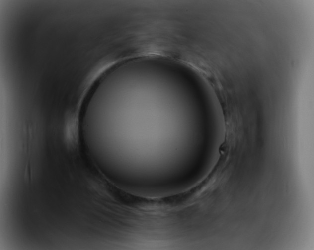X0000092240200200709211049