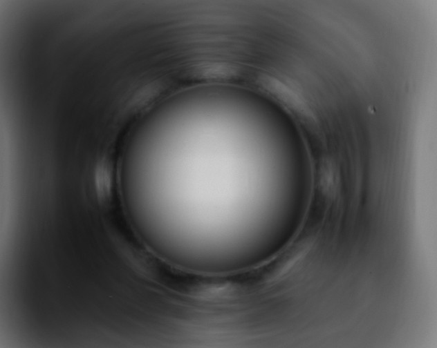 X0000092240206200709211049