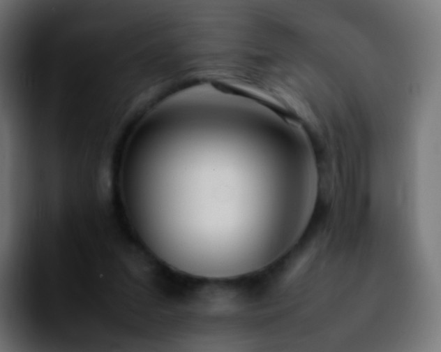 X0000092240207200709211049