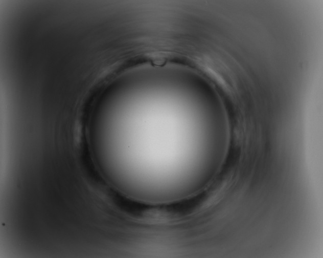 X0000092240211200709211049