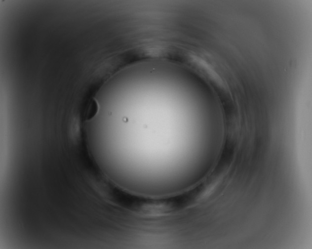 X0000092240213200709211049