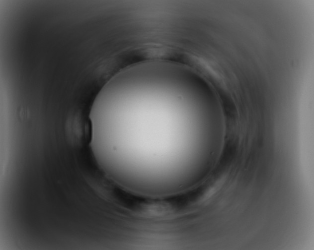 X0000092240215200709211049