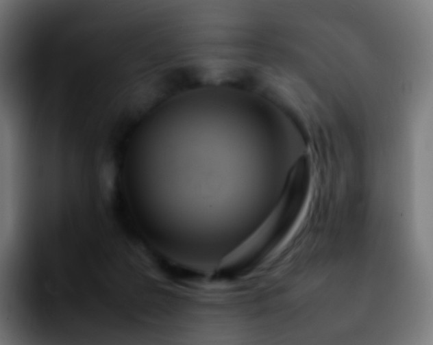 X0000092240219200709211049