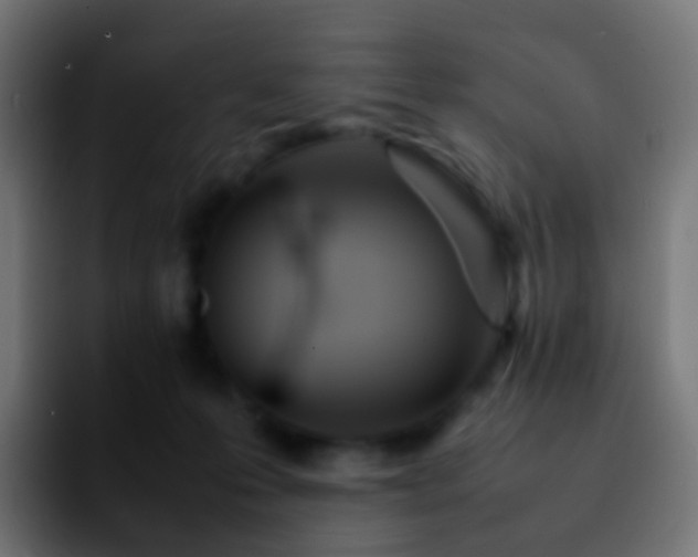 X0000092240223200709211049