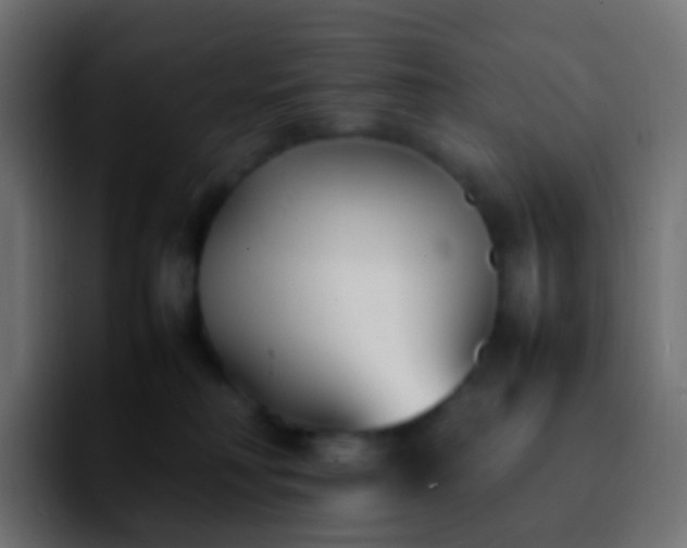 X0000092240230200709211049