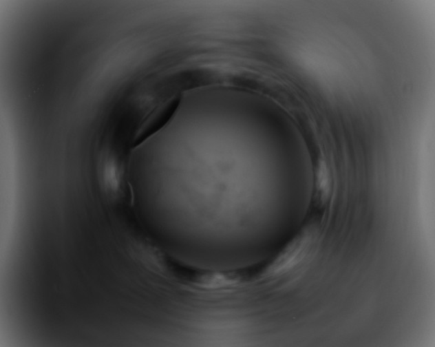 X0000092240239200709211049