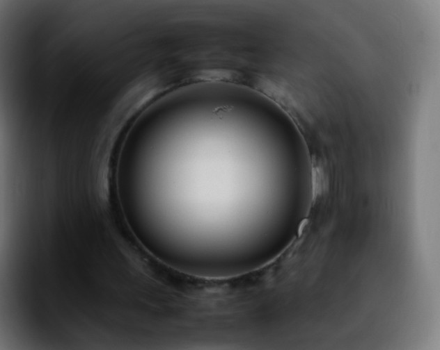 X0000092240243200709211048