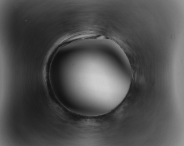 X0000092240244200709211048