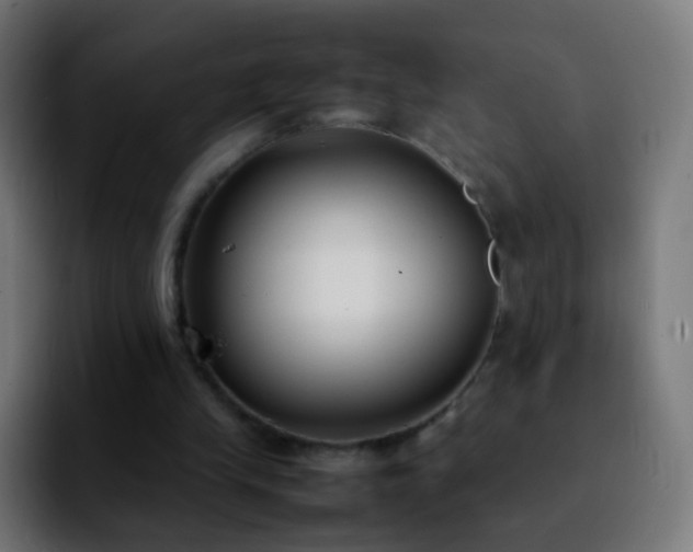 X0000092240245200709211048
