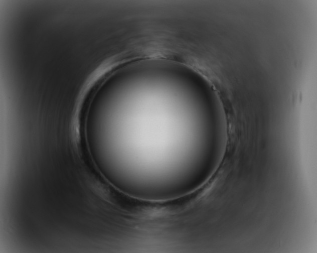 X0000092240246200709211048