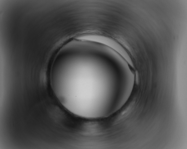X0000092240252200709211048