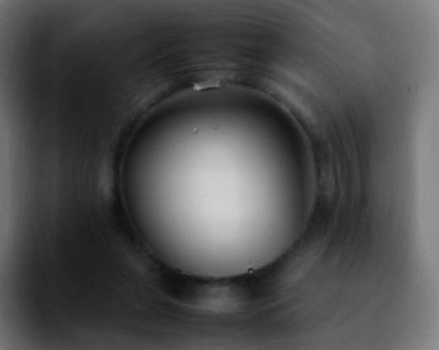 X0000092240255200709211048