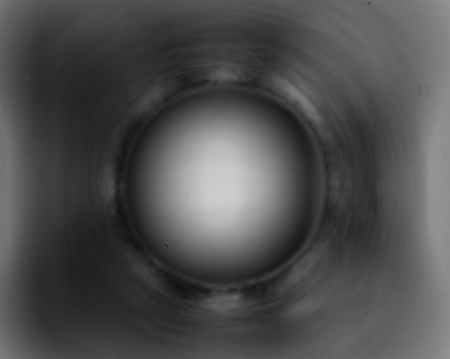 X0000092240257200709211048