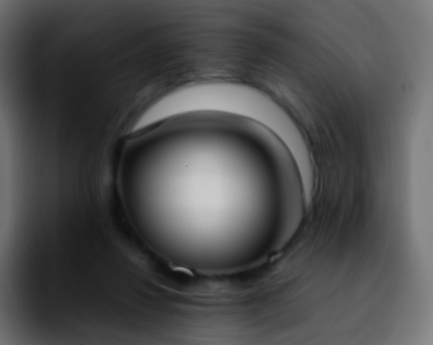 X0000092240260200709211049