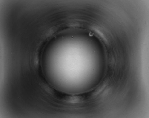 X0000092240261200709211049