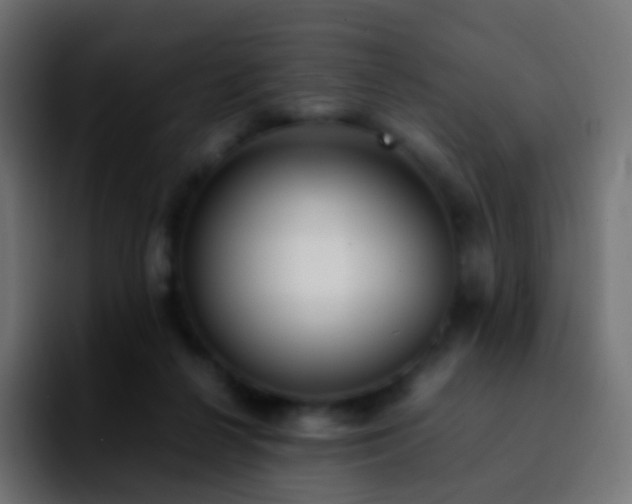 X0000092240264200709211049